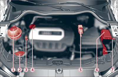 Typical locations of fluid containers, engine oil dipstick and engine oil filler cap